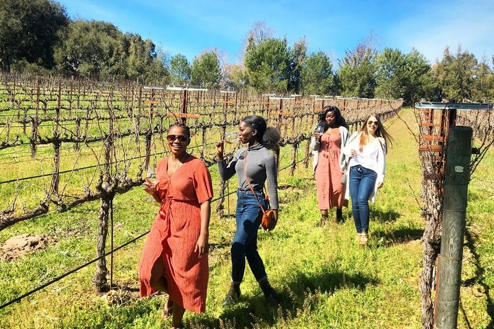 Small-Group Wine Tour in Santa Barbara to Exclusive Vineyards - Photo 1 of 25